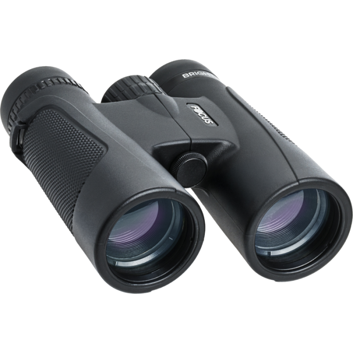 Focus Bright Kikkert 10x42