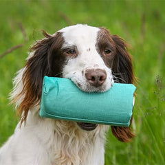 Duck Dri Sporting Saint Fasandummy Til Dummyskyder Grøn